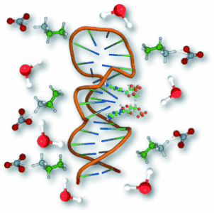 Aptamer�ϳ�